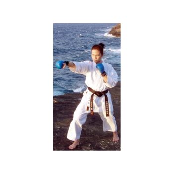 Håndbeskytter, Tokaido